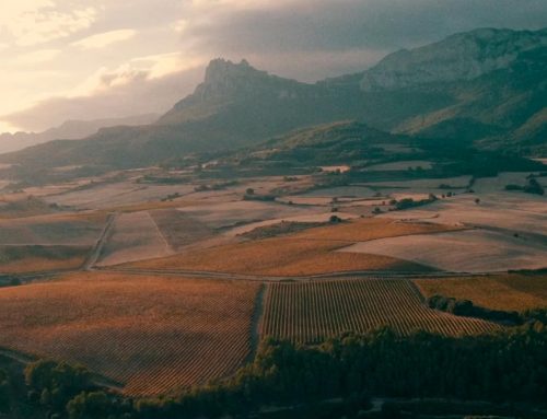 Bodegas de Santiago