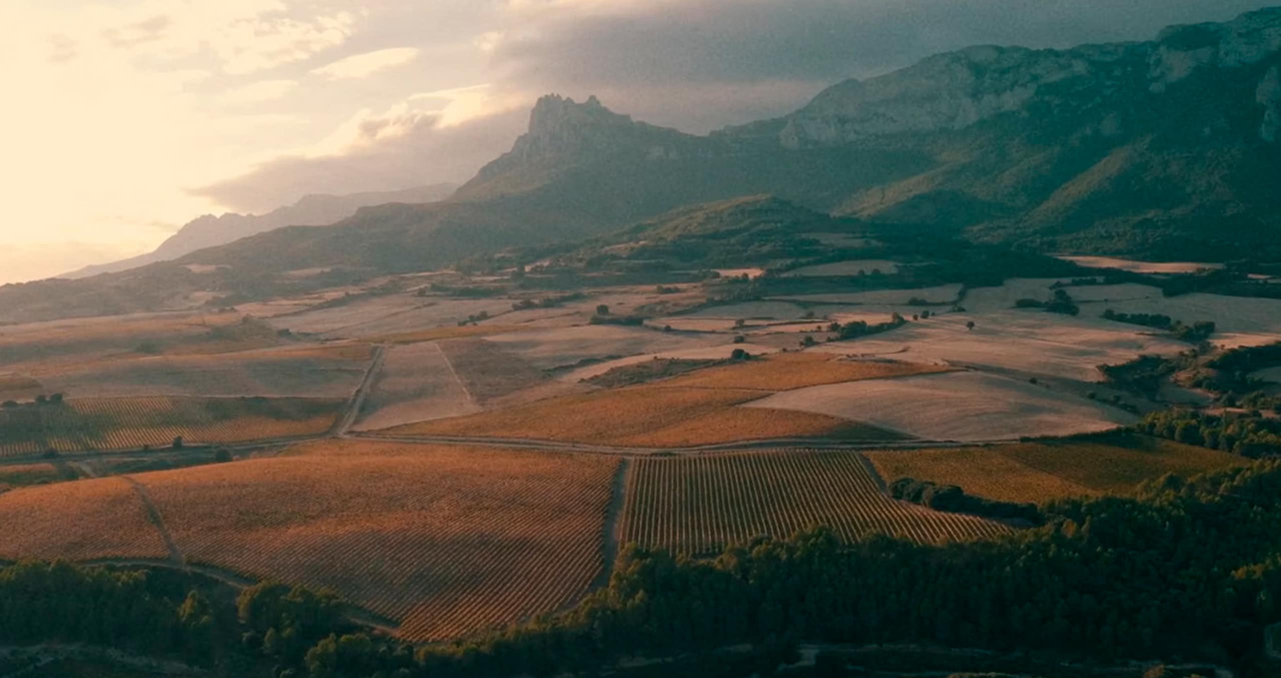 Video corporativo para la bodega riojana Bodegas de Santiago.