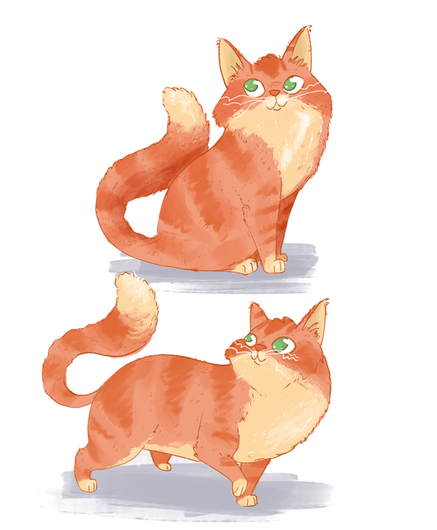 creación de personaje de un gato en diferentes posturas para libro ilustrado